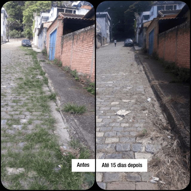 novos AD 01 1