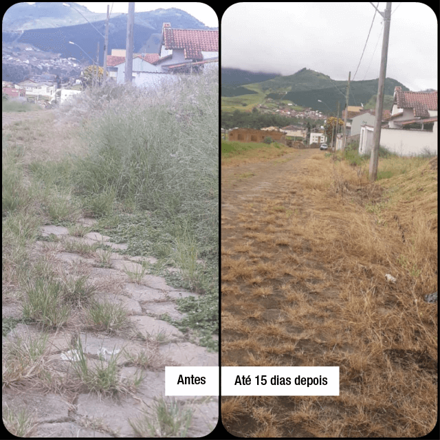 novos AD 04 1
