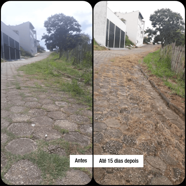 novos AD 06 1