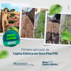 Leia mais sobre o artigo Primeira aplicação em Ouro Fino