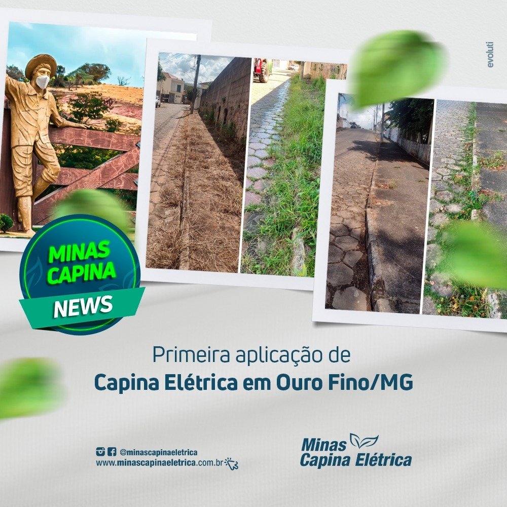 No momento, você está visualizando Primeira aplicação em Ouro Fino