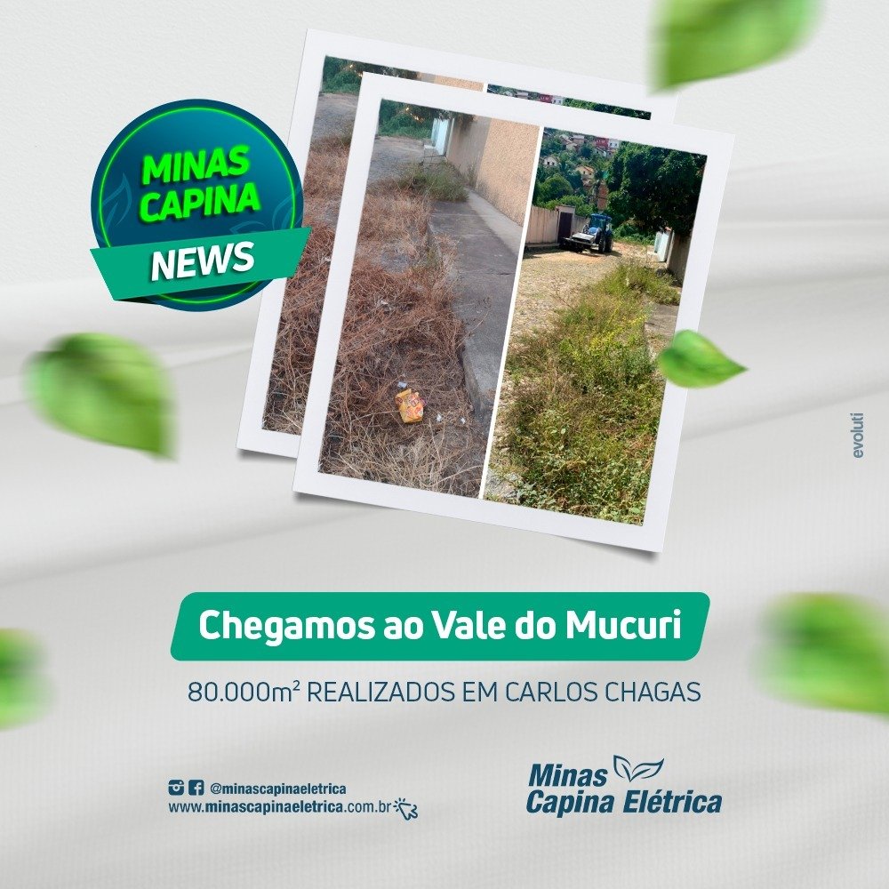 Leia mais sobre o artigo Chegamos ao Vale do Mucuri