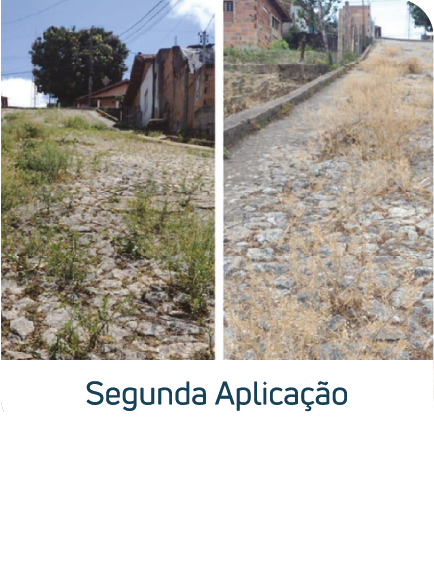 Minas Capina Urbana 56 Ativo 4@4x 1