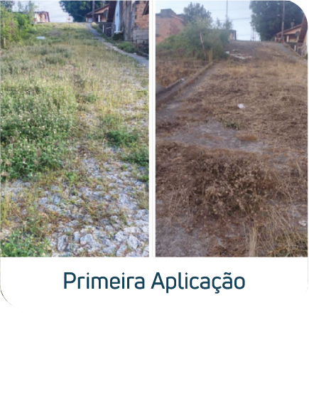 Minas Capina Urbana 55 Ativo